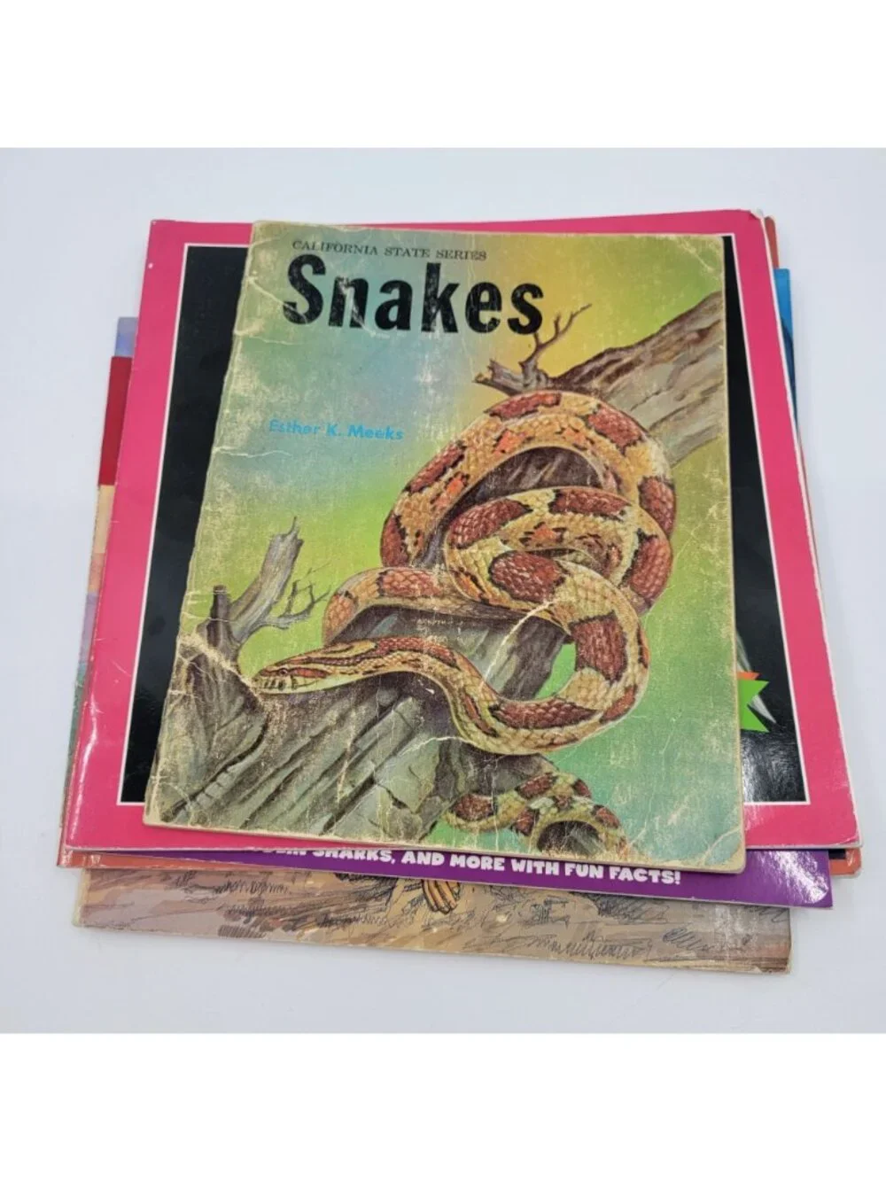 Children's Non-Fiction Book Lot - Nature, Spiders, Snakes - BK217